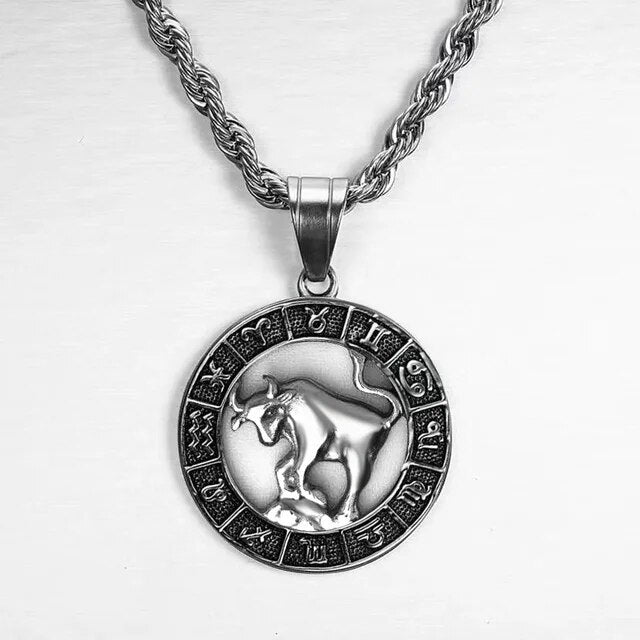 Zilver-Kleur-12-Constellation-Zodiak-Hanger-Ketting-Punk-Retro-Hoge-Kwaliteit-Roestvrij-Staal-Touw-Ketting-Horoscoop.jpg_640x640.jpg__9.jpg